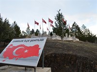 Çamoluk İlçe Şehitliği